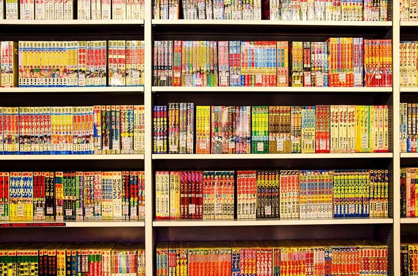 differences between light novels and manga